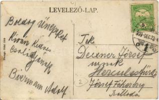 1909 Nagybecskerek, Zrenjanin, Veliki Beckerek; Beneth Károly Rózsaszálloda kávéháza, belső / hotel ...