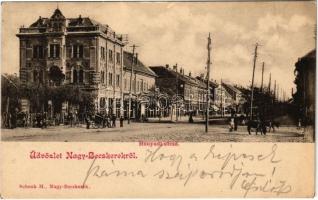 1900 Nagybecskerek, Zrenjanin, Veliki Beckerek; Hunyadi utca, Billitz János üzlete, fogorvos / street, shops, dentist