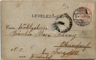 1898 Balf (Sopron), Üdvözlet a Balfi fürdőből. Kiadja Blum N. Stagl F. fényképész felvétele, keményh...