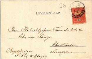 1903 Hévíz, Kórház. Marton Móricz kiadása (fa)