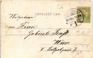 1904 Nyíregyháza, talyigás, magyar folklór. Piringer János kiadása (vágott / cut)