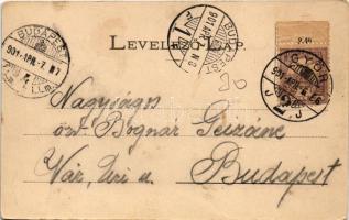 1901 Győr, Révfalu, Duna. Berecz Viktor kiadása (EK)