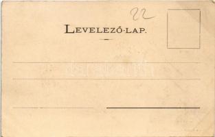 Győr, Városháza a Baross hídról. Berecz Viktor kiadása (fl)