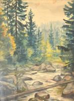 Jelzés nélkül: Erdei táj patakkal. Akvarell, papír. Sérült, üvegezett fa keretben, 40×29,5 cm