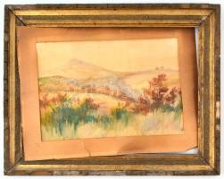 Jelzés nélkül: Őszi táj. Akvarell, papír. Sérült fa keretben, 22,5×32,5 cm
