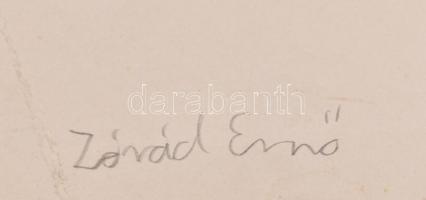 Zórád jelzéssel: Hegyvidéki ház. Akvarell, tus, papír. 36×22,5 cm