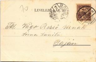 1901 Léva, Levice; Kazinczy utca, Klain Ödön, Weil Jakab, Borcsányi és Csernák üzlete. Schulcz Ignác...