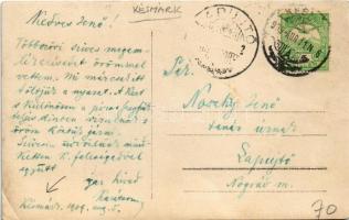 1909 Késmárk, Kezmarok; kert, park / garden. photo (EK)