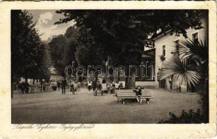 Vihnyefürdő, Kúpele Vyhnye; Gyógyfürdő / spa, bath, hotel (EB)