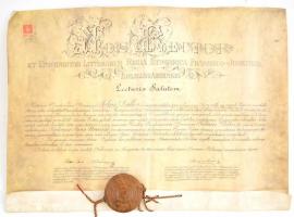 1910 Kolozsvári Tudományegyetem jogi doktori oklevél sérült függő viaszpecséttel. Pergamen. 60x48 cm