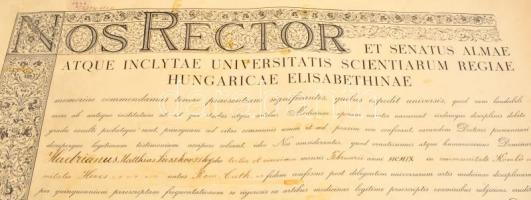 1940 Pécsi Tudományegyetem orvosi oklevél függő viaszpecséttel. Pergamen. 60x48 cm