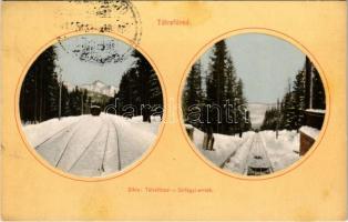 1916 Tátrafüred, Bad Alt-Schmecks, Novy Smokovec; Sikló vasút a Szilágyi-emléknél. Feitzinger Ede No. 23. W. / funicular railway (fl)