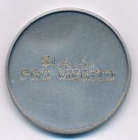 Németország DN "Paracelsus" ezüstpatinázott Br emlékérem (40mm) T:1-,2