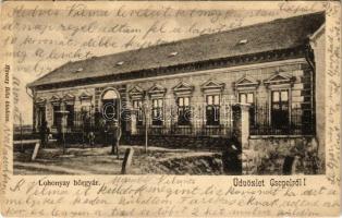 1910 Budapest XXI. Csepel, Lohonyay bőrgyár. Havasy Béla kiadása (EB)