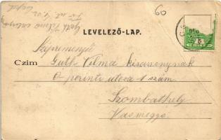 1910 Budapest XXI. Csepel, Lohonyay bőrgyár. Havasy Béla kiadása (EB)