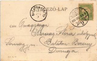 1903 Budapest XII. Zugliget, Disznófő vendéglő, étterem kertje (fl)