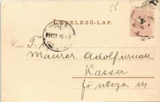 1899 Budapest II. Szent Lukács és Császár fürdő, gőzhajó. Rigler Részv. Társ. Art Nouveau, litho