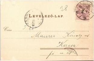 1899 Budapest VII. Központi (Keleti) pályaudvar, vasútállomás. Rigler Részv. Társ. Art Nouveau, lith...