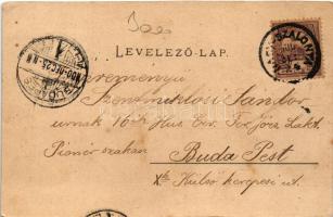 1900 Nagyszalonta, Salonta; Arany János emlékszoba. Fábián L. Dezső kiadása / memorial room, interio...