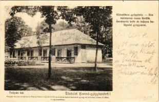 1904 Korond, Corund; Tulipán lak. Klimatikus gyógyhely. Gáspár Gyula kiadása / spa advertisement, villa