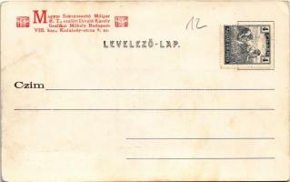 Buziásfürdő, Baile Buzias; látkép. Nosek Gusztáv kiadása / general view (EK)