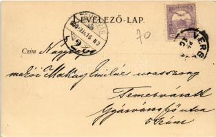 1900 Temesvár, Timisoara; Erzsébetváros, Dózsa utca, vasúti pálya, kerékpáros, sorompó. Králicsek Bé...