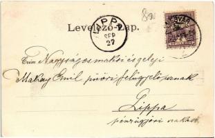 1901 Temesvár, Timisoara; Zápolya utca, szálloda, Lenz J. kávéháza, villamospálya / street view, hot...