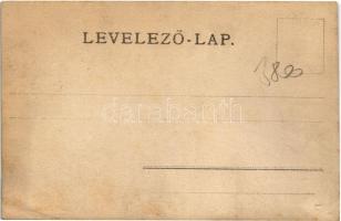 Temesvár, Timisoara; Hunyadi kastély, katona. Uhrmann Henrik kiadása / castle, K.u.K. soldier (gyűrő...