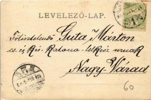 1904 Temesvár, Timisoara; Jenő herceg tér, Turul Magyar Részv. Társ. főraktára, Takarékpénztár, üzle...