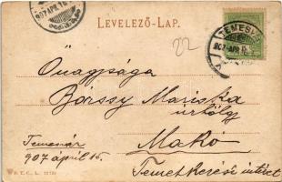 1907 Temesvár, Timisoara; Józsefvárosi pályaudvar, vasútállomás / railway station