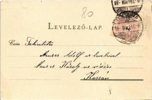 1899 Temesvár, Timisoara; Kloster Josefstadt, Cadetten Schule, Realschule, Comitatshaus, Buchhandlun...