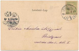 1902 Arad, Szabadság tér, emlékmű, üzletek. Magyar zászlós litho keret / square, monument, shops. Hu...