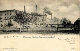 1900 Arad, Neuman Testvérek szeszgyára. Kerpel Izsó kiadása / distillery (fl)