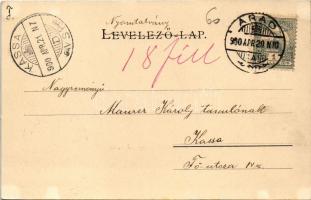 1900 Arad, Neuman Testvérek szeszgyára. Kerpel Izsó kiadása / distillery (fl)