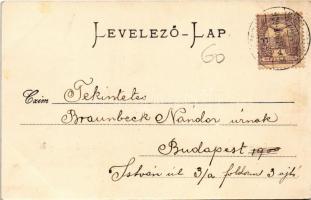 1900 Marosvásárhely, Targu Mures; M. kir. honvéd csapat kórház. Holbach E. kiadása / K.u.K. military...