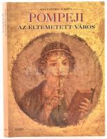 Salvatore Nappo: Pompeji, az eltemetett város. Bp., Gabo. Kiadói kartonált papírkötés védőborítóval.