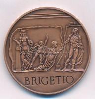 Szabó László (1927-) DN "Komárom / Brigetio" Br emlékérem (42.5mm) T:1