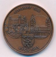 Rétfalvi Sándor (1941-) DN "75 éves a pécsi 1. Belklinika / Pozsony 1918 - Pécs 1923" Br e...