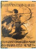 ,,Vae Victis!", Trianonnal kapcsolatos tétel, egybekötve, egykorú félvászon-kötésben egybekötve...