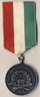 1958. "Önkéntes Tűzoltói Szolgálatért-10 év" érdemérem, szalaggal T:2