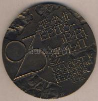 DN "23. sz. Állami Építőipari Vállalat" extrém nagyalakú Br kisplasztika R:2 Díszdobozban.