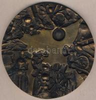 DN "23. sz. Állami Építőipari Vállalat" extrém nagyalakú Br kisplasztika R:2 Díszdobozban