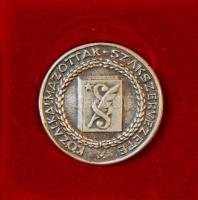 "60 éves Szakszervezeti tagságért-Közalkalmazottak Szakszervezete" nagyalakú Ffm emlékplakett T:2 Eredeti díszdobozban!