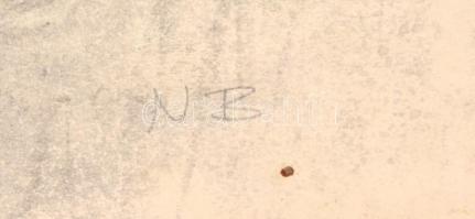 Nagy Barbara (1976-): Fekvő akt. Szén, papír, jelzett, sérült, 43x61 cm