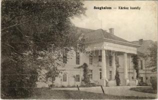 1909 Szeghalom, Kárász kastély. Schwarcz Vilmos kiadása (EK)