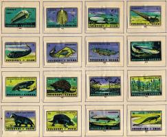 813 darabos különböző külföldi gyufacimke gyűjtemények mappákban