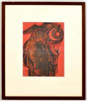 Xantus Gyula (1919-1993): Leányfej. Vegyes technika, papír, jelzés nélkül, üvegezett fa keretben, 22...