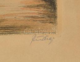 Olvashatatlan jelzéssel: Patakpart. Színezett rézkarc, papír. Díszes, kissé sérült üvegezett fa kere...