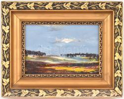 Gábri/Gábry Albert (1935-2004): Alföld. Olaj, farost, jelzett. Díszes fa keretben, 17x25 cm