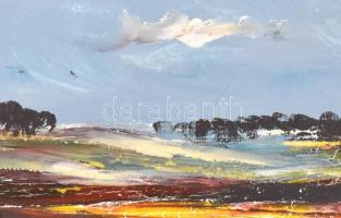 Gábri/Gábry Albert (1935-2004): Alföld. Olaj, farost, jelzett. Díszes fa keretben, 17x25 cm